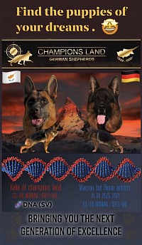 Bringing you the next generation of excellence