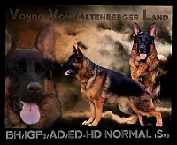 BH/IGP3/AD/KKL (Sv) ED/HD NORMAL