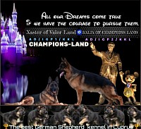 Bringing you the next generation of excellence