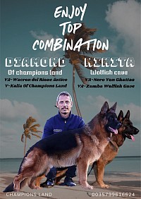 VA WACRON-VA NERO-VA CRONOS