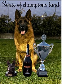 For sale (0035799616624 Costas)