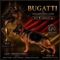 Bugatti of champions land